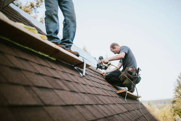 Best Roof Gutter Cleaning  in Dublin, GA